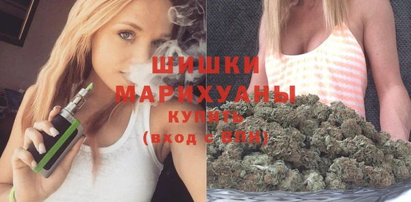 ГАЛЛЮЦИНОГЕННЫЕ ГРИБЫ Сатка