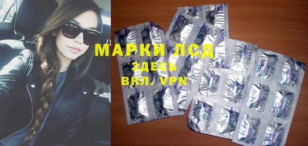 эйфоретик Баксан