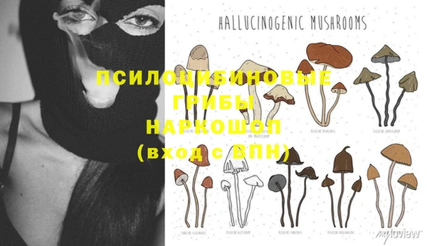 метадон Сафоново